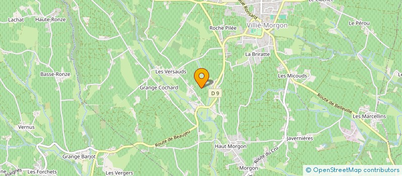 localisation de l'entreprise GFA CUVEE 21  VILLIE MORGON