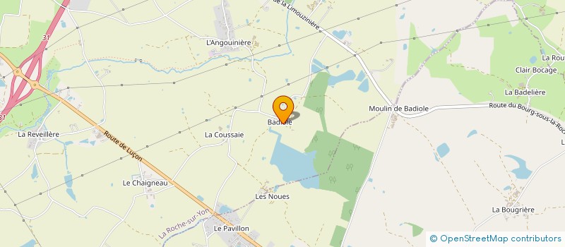 localisation de l'entreprise GFA DE BADIOLE à ROCHE SUR YON (LA)