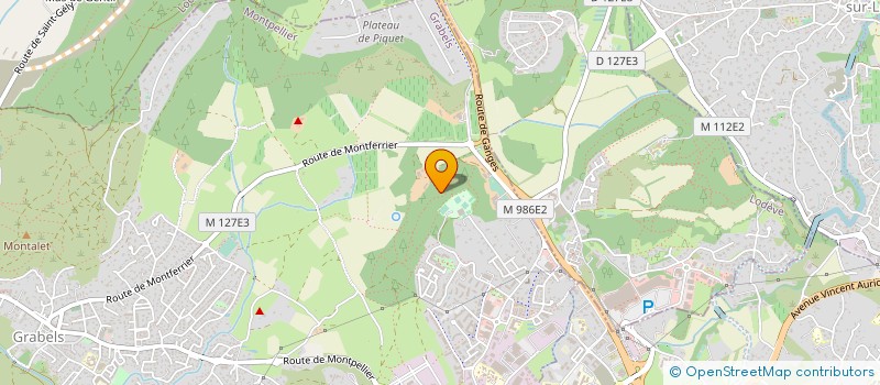 localisation de l'entreprise GFA DE DAMMARTIN  GRABELS