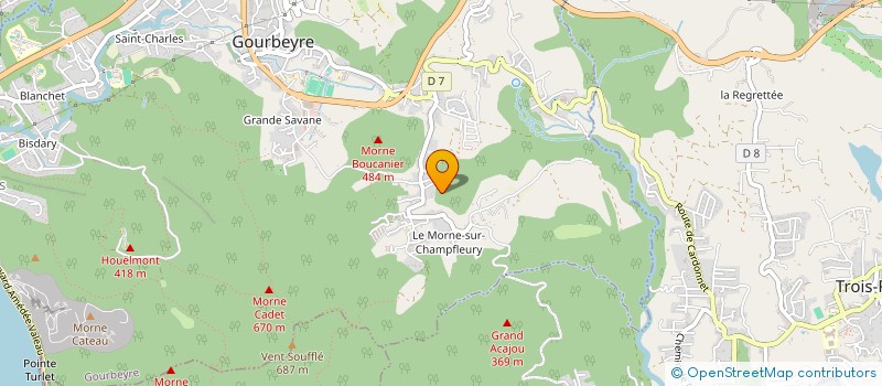 localisation de l'entreprise GFA DE GRANDE RAVINE à GOURBEYRE
