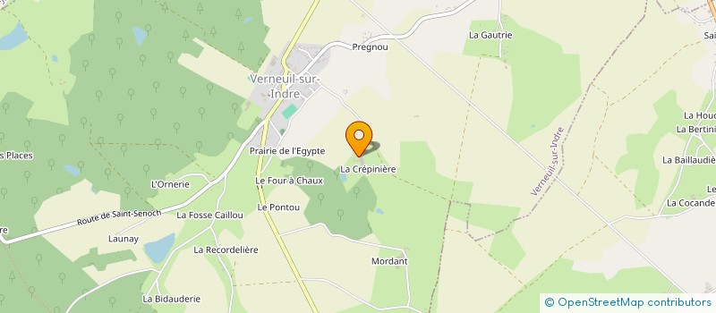 localisation de l'entreprise GFA DE LA CREPINIERE  VERNEUIL-SUR-INDRE