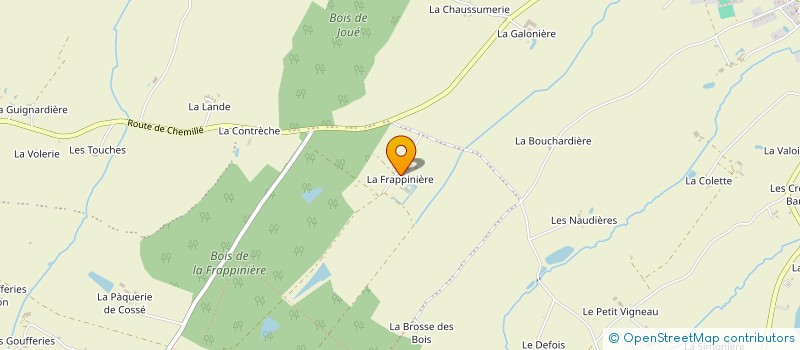 localisation de l'entreprise GFA DE LA FRAPPINIERE DES BOIS  CHEMILLE-EN-ANJOU