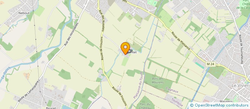 localisation de l'entreprise GFA DE MONTET  PLAISANCE-DU-TOUCH