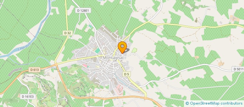 localisation de l'entreprise GFA DELSOL  MONTAGNAC