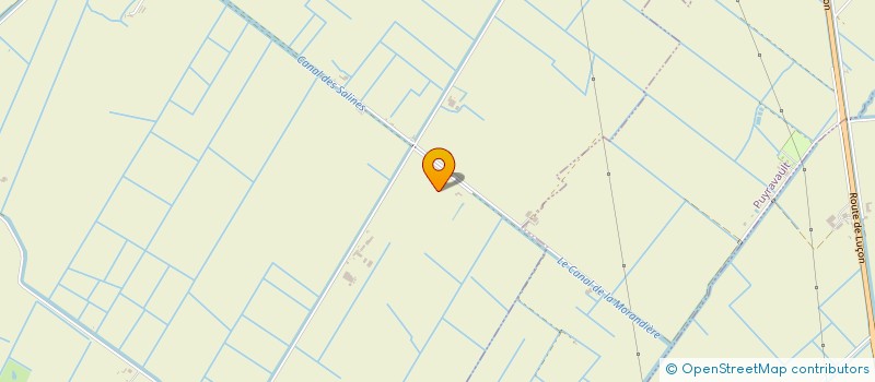 localisation de l'entreprise GFA DES 2 CYGNES  CHAMPAGNE-LES-MARAIS