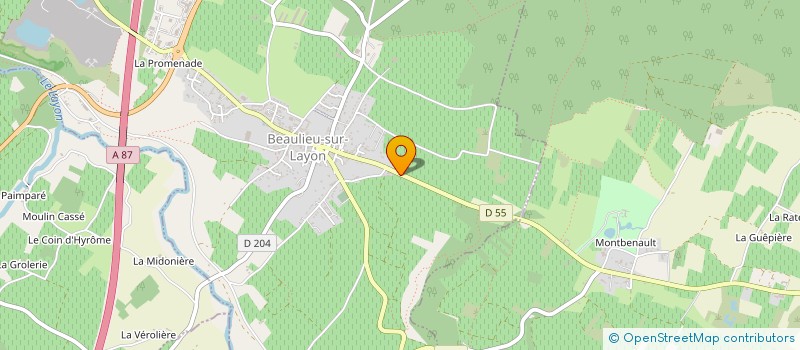 localisation de l'entreprise GFA DES BLOUINES  BEAULIEU-SUR-LAYON