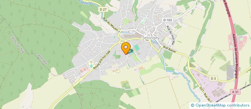 localisation de l'entreprise GFA DES MONTANTS DE LA FIN  SELONGEY