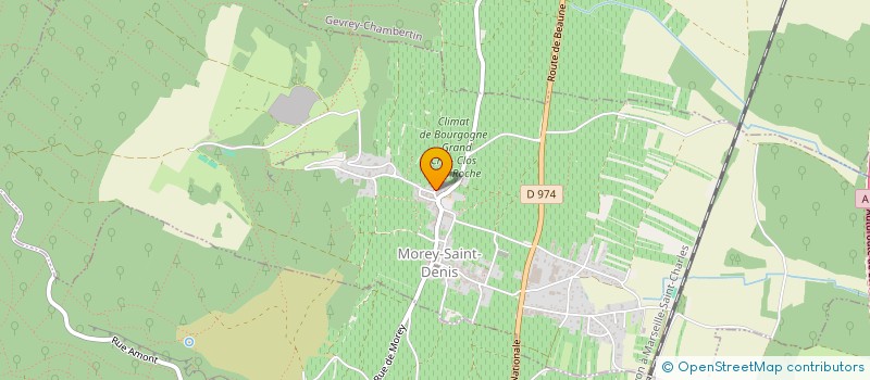 localisation de l'entreprise GFA DES OENOPHILES  MOREY-SAINT-DENIS