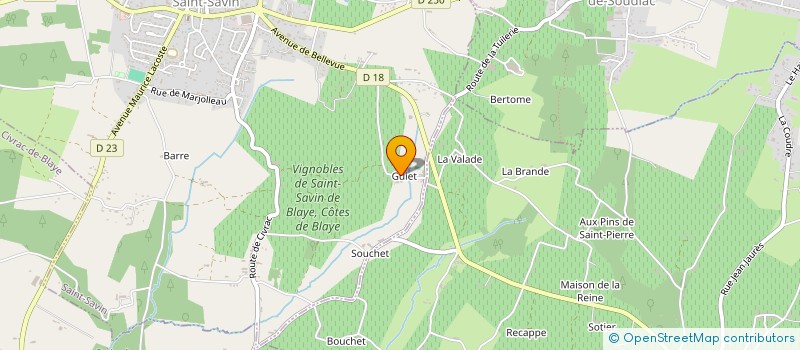 localisation de l'entreprise GFA DES VIGNOBLES RAYMOND à SAINT-SAVIN