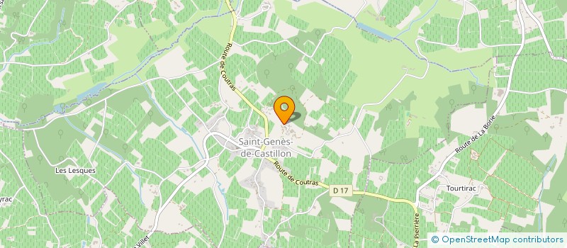 localisation de l'entreprise GFA DOMAINE BIGORRE BRAY  SAINT-GENES-DE-CASTILLON