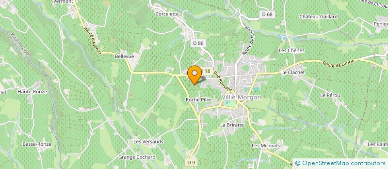 localisation de l'entreprise GFA DOMAINE DE LA ROCHE PILEE  VILLIE-MORGON