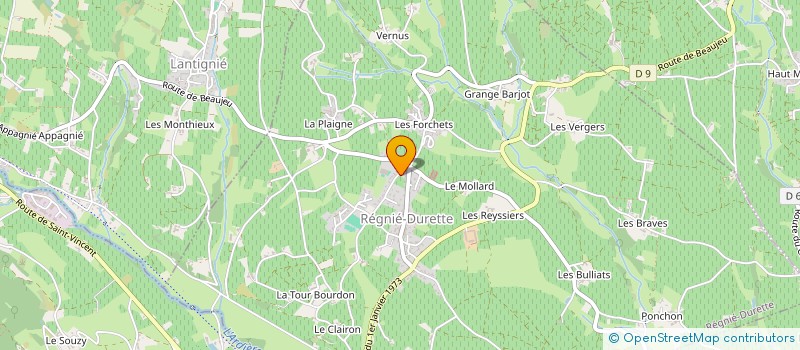 localisation de l'entreprise GFA DOMAINE PASSOT  REGNIE-DURETTE