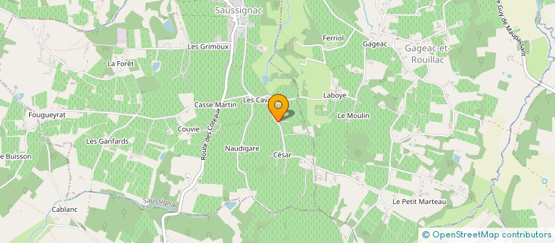 localisation de l'entreprise GFA DU CHAMP DES GENDRES  RIBAGNAC