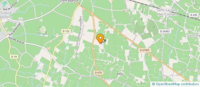 localisation de l'entreprise GFA DU CHATEAU QUEYRON PIN DE FLEUR à SAINT-EMILION
