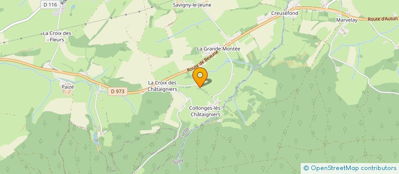 localisation de l'entreprise GFA DU CLUSELIER  SAINT-FORGEOT