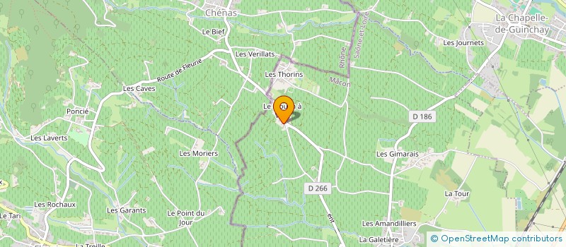 localisation de l'entreprise GFA DU DOMAINE DE LA ROCHE à ROMANECHE-THORINS