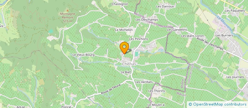 localisation de l'entreprise GFA DU DOMAINE DES FONTAINES  CHENAS