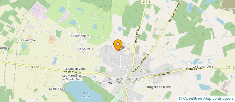 localisation de l'entreprise GFA DU DOMAINE DES PINS  SOINGS EN SOLOGNE