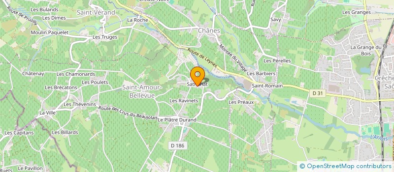 localisation de l'entreprise GFA DU DOMAINE DU PARADIS  SAINT-AMOUR-BELLEVUE