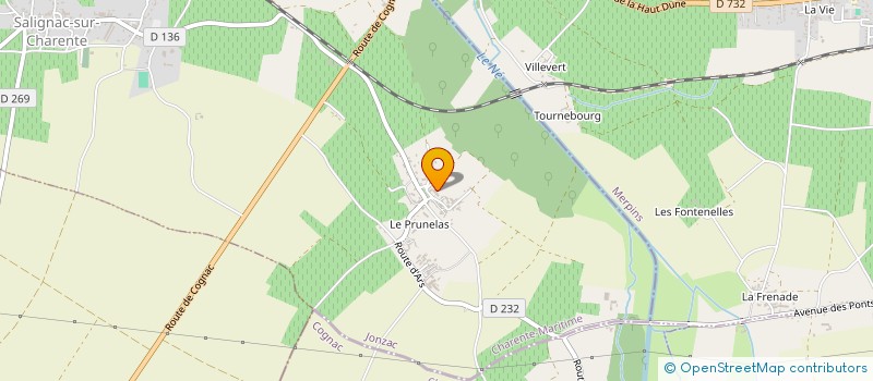 localisation de l'entreprise GFA DU PRUNELAS  SALIGNAC-SUR-CHARENTE