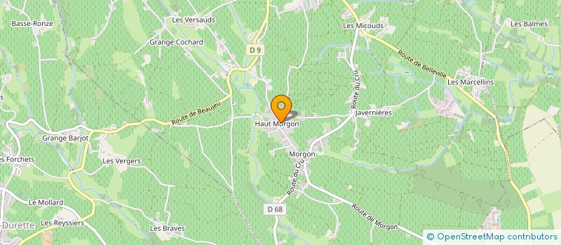 localisation de l'entreprise GFA DU PY à VILLIE-MORGON