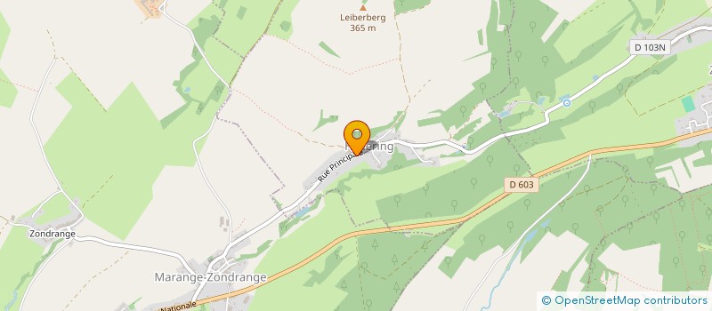 localisation de l'entreprise GFA DU VIEUX CHENE  FLETRANGE