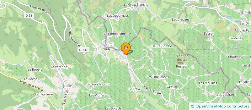 localisation de l'entreprise GFA DU VIGNARD à JULIENAS