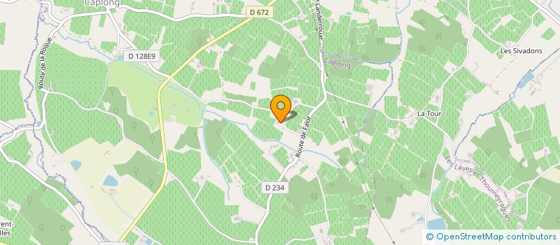 localisation de l'entreprise GFA JACQUES VERITE  CAPLONG