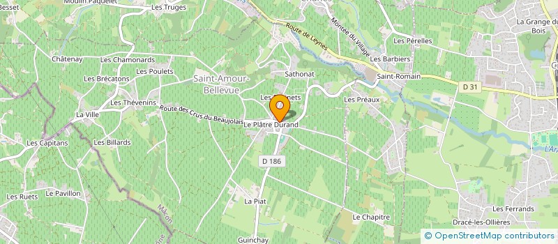 localisation de l'entreprise GFA LA GRAPPE BURDELINE  SAINT-AMOUR-BELLEVUE