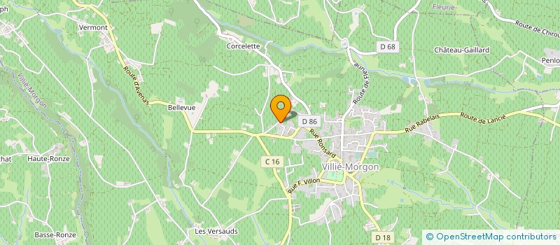 localisation de l'entreprise GFA LAROCHETTE  VILLIE-MORGON