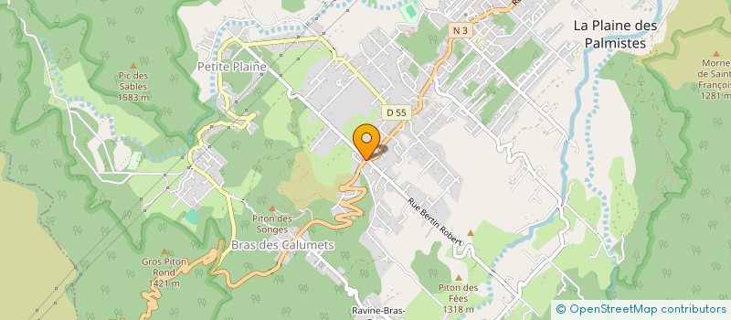 localisation de l'entreprise GFA LES ARUMS  LA PLAINE-DES-PALMISTES