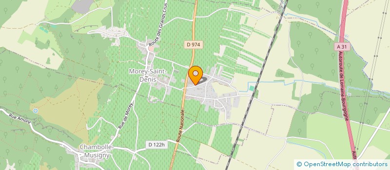 localisation de l'entreprise GFA LES BOUTIERES  MOREY-SAINT-DENIS