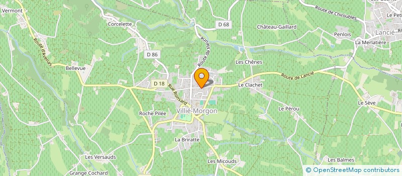 localisation de l'entreprise GFA LOUIS DESVIGNES PERE ET FILS  VILLIE-MORGON