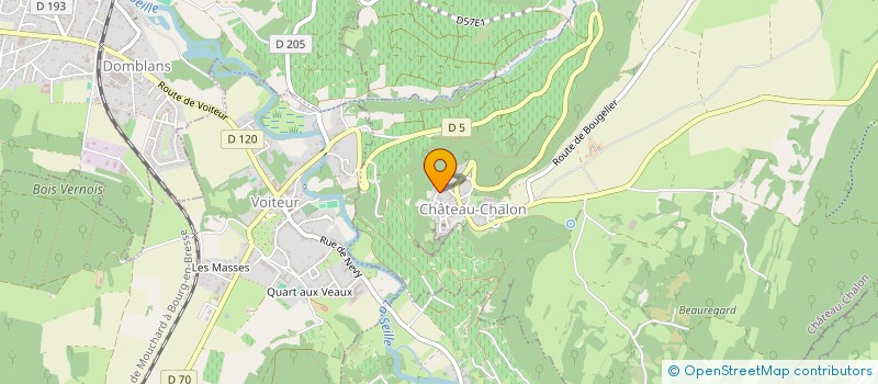 localisation de l'entreprise GFA MACLE  CHATEAU-CHALON