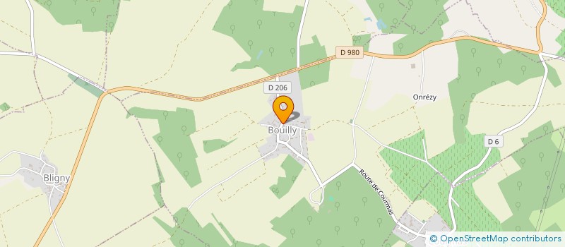 localisation de l'entreprise GFA MUTUEL REGION VILLE EN TARDENOIS à BOUILLY