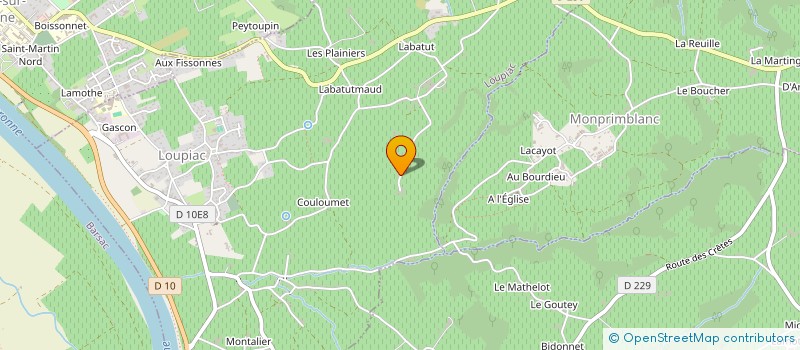 localisation de l'entreprise GFA RONDILLON  LOUPIAC