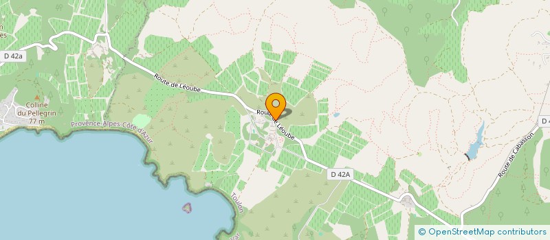 localisation de l'entreprise GFR DU DOMAINE DE LEOUBE à BORMES-LES-MIMOSAS