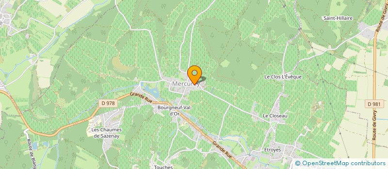 localisation de l'entreprise GFV MAJALICE à MERCUREY
