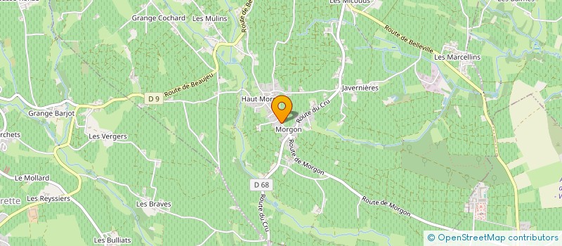 localisation de l'entreprise GFV MEE GODARD MORGON  VILLIE-MORGON