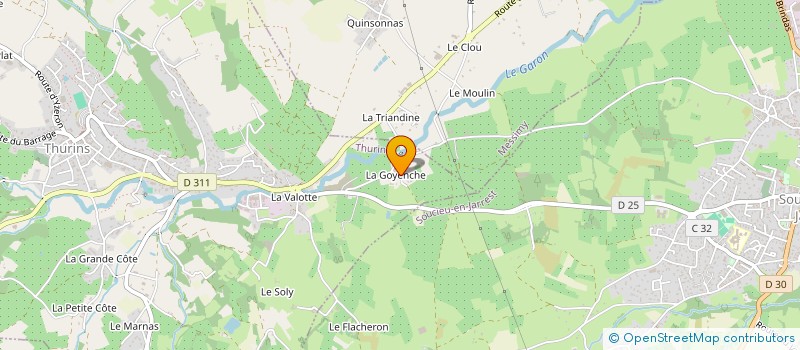 localisation de l'entreprise GI CONSEIL  THURINS