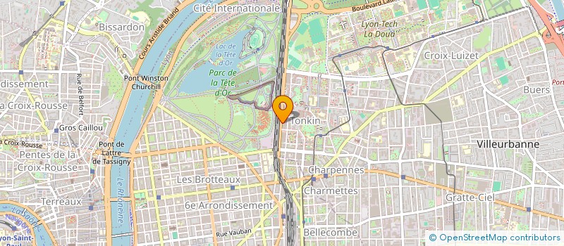 localisation de l'entreprise GIE LA CITE DES ANTIQUAIRES  VILLEURBANNE