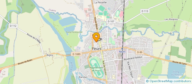 localisation de l'entreprise GIE RESSOURCES HUMAINES FOREZ  FEURS