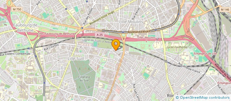 localisation de l'entreprise GIE TRANSPORTS LEFEBVRE SERVICES à LILLE