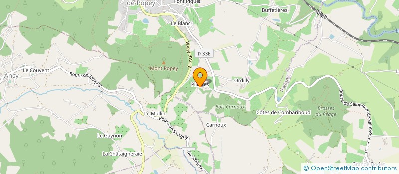 localisation de l'entreprise GIL LEDUC INGENIERIE & SERVIES  SAINT-ROMAIN-DE-POPEY