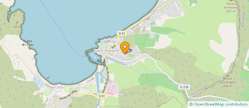 localisation de l'entreprise GIORGI ELEC 2B à SAINT-FLORENT
