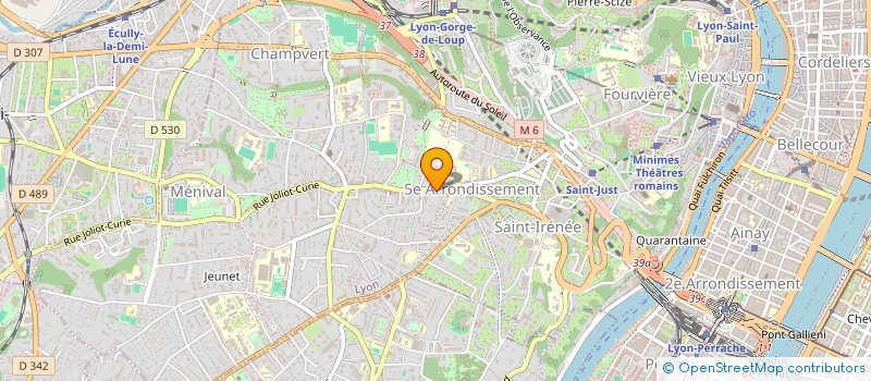 localisation de l'entreprise GIORGIO PIZZA à LYON