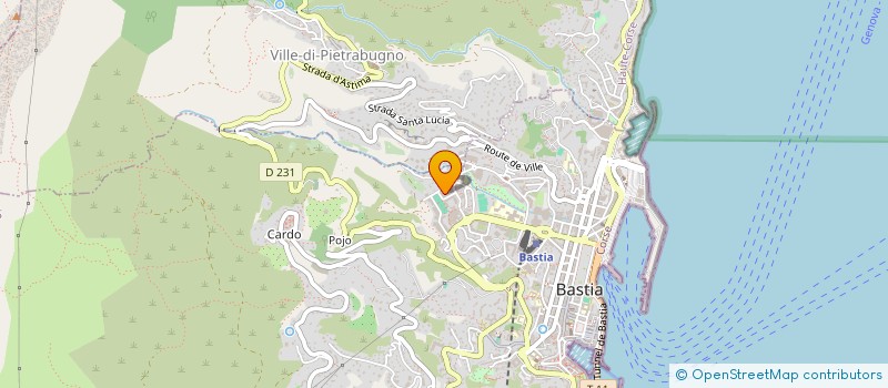 localisation de l'entreprise GIP DE LA MAISON DES ADOLESCENTS DE HAUTE CORSE à BASTIA