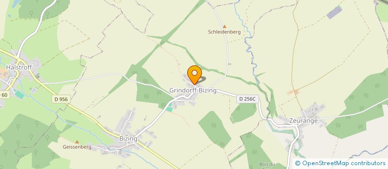 localisation de l'entreprise GITE DES MENHIRS DE L'EUROPE  LAUNSTROFF