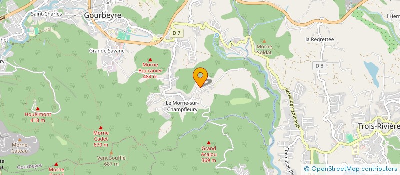 localisation de l'entreprise GITES ET FORET DE PALMISTE  GOURBEYRE