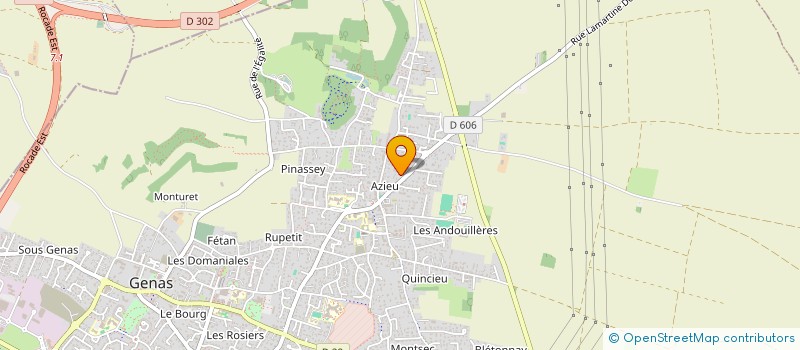 localisation de l'entreprise GLOBAL SOLUTION SERVICES à GENAS
